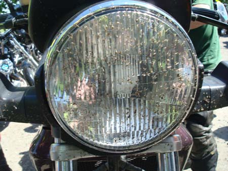 DSC00463